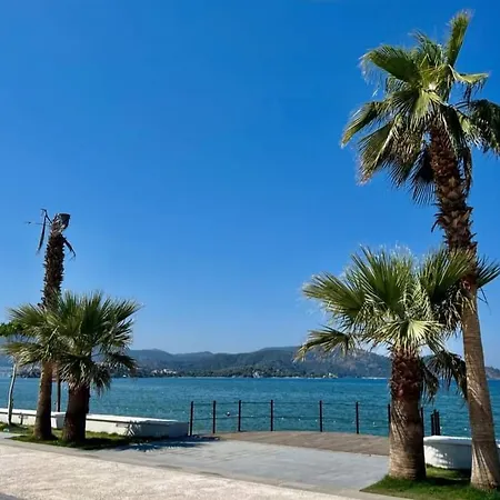 Villa Mir